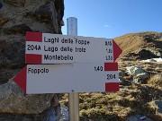74 Mi vien tarfi e buio a scendere sul 204A dai Laghetti, scendo dal sent. 204 fatto il marttino in salita
